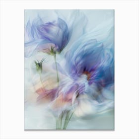 'Blue Poppy' Canvas Print