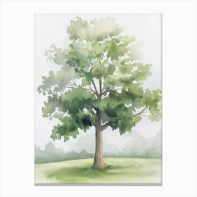 Ash Tree Atmospheric Watercolour Painting 4 Canvas Print