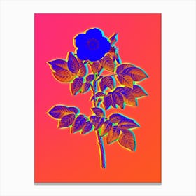 Neon Leschenault's Rose Botanical in Hot Pink and Electric Blue Canvas Print
