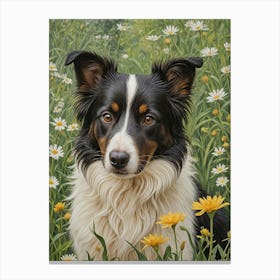 Border Collie In The Meadow Canvas Print