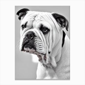 Bulldog B&W Pencil dog Canvas Print