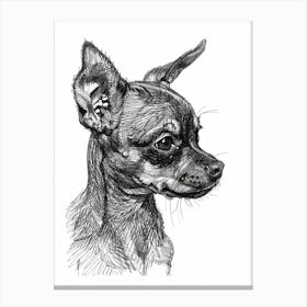 Miniature Pinscher Dog Line Sketch 4 Canvas Print