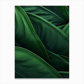 Green Leaves Background Canvas Print