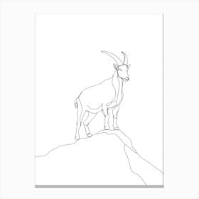 Goat On A Rock 1 Canvas Print