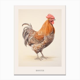 Vintage Bird Drawing Rooster 2 Poster Canvas Print