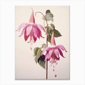 Floral Illustration Fuchsia 1 Canvas Print