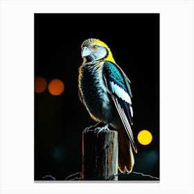 Wild Animal Creative Portrait 5 Canvas Print