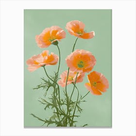 Marigold Flowers Acrylic Painting In Pastel Colours 10 Canvas Print
