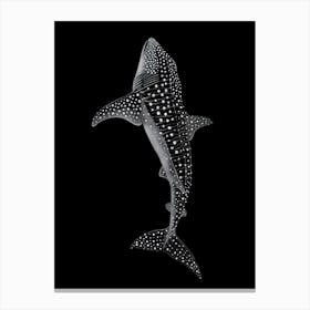 Whale Shark Canvas Print