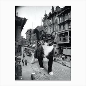 Street Cat Canvas Print