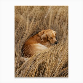 Golden Retriever Sleeping In The Grass.Generated AI. Art Print 1 Canvas Print