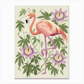 Chilean Flamingo Passionflowers Minimalist Illustration 1 Canvas Print