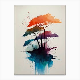 Acacia Trees Canvas Print