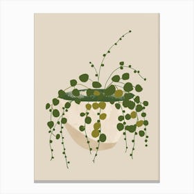 String Of Pearls Plant Minimalist Illustration 7 Canvas Print