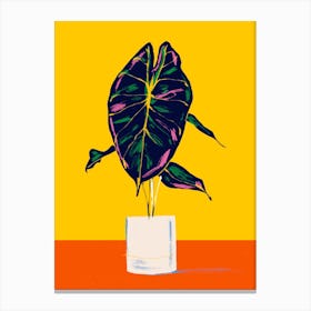 Alocasia Pink Dragon In A Pot Yellow Canvas Print