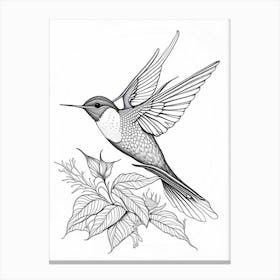 Black Chinned Hummingbird William Morris Line Drawing Canvas Print