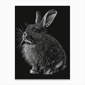 English Angora Blockprint Rabbit Illustration 2 Canvas Print