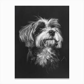 Havanese Dog Charcoal Line 3 Canvas Print
