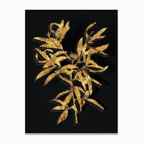 Vintage Sweetfern Botanical in Gold on Black n.0372 Canvas Print