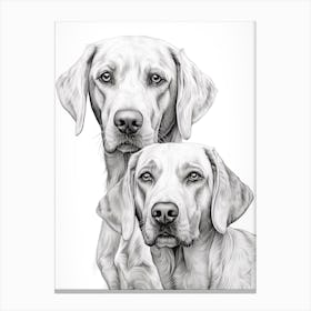 Two Pointer Dogs, Line Drawing 2 Canvas Print
