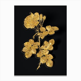 Vintage Damask Rose Botanical in Gold on Black n.0415 Canvas Print