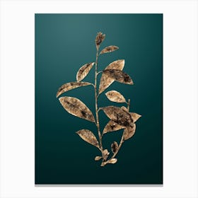 Gold Botanical Grey Willow on Dark Teal n.2505 Canvas Print