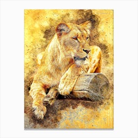 Lioness At Rest Canvas Print