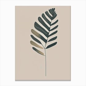 Shield Fern Wildflower Simplicity Canvas Print