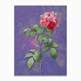 Vintage Seven Sisters Roses Botanical Illustration on Veri Peri n.0074 Canvas Print