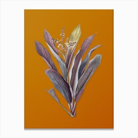 Vintage Cordyline Fruticosa Botanical on Sunset Orange n.0130 Canvas Print