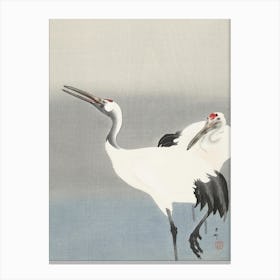 Two Cranes (1900 1930), Ohara Koson Canvas Print
