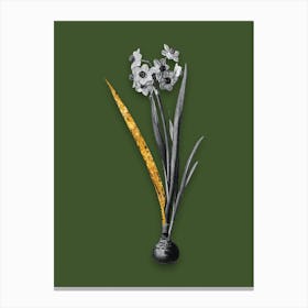 Vintage Daffodil Black and White Gold Leaf Floral Art on Olive Green n.0715 Canvas Print