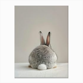 Grey Rabbit Sitting On A Table Canvas Print