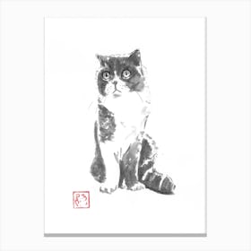 Luna cat Canvas Print