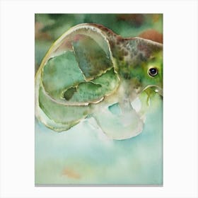 Dumbo Octopus Storybook Watercolour Canvas Print