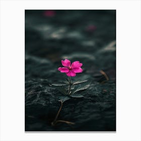 Single Flower In Water 9 Canvas Print