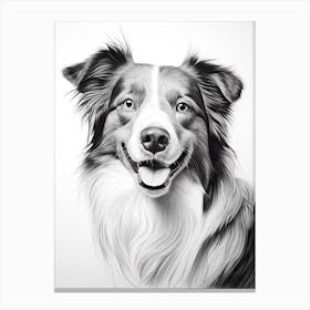 Border Collie Dog, Line Drawing 2 Canvas Print