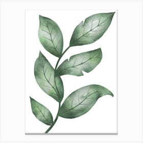 Green Watercolor Leaves - Two Set Canvas Print