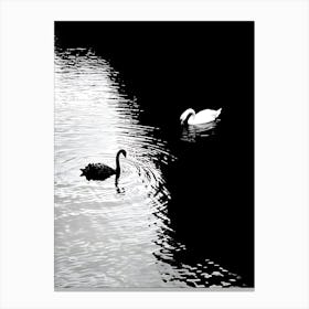 Swans In The Water 1 Canvas Print