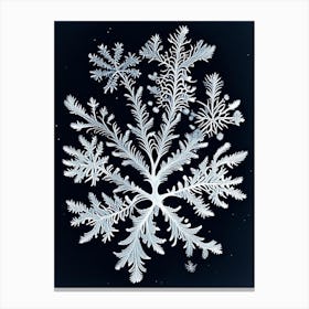 Fernlike Stellar Dendrites, Snowflakes, Vintage Botanical Illustration 1 Canvas Print