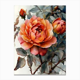 Roses 5 Canvas Print