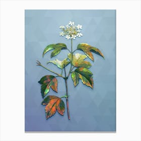 Vintage Guelder Rose Botanical Art on Summer Song Blue n.1092 Canvas Print