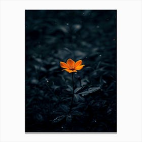 Dark Flower 17 Canvas Print