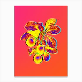 Neon Cherry Plum Botanical in Hot Pink and Electric Blue n.0170 Canvas Print