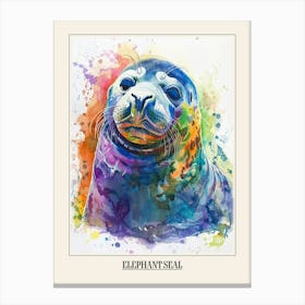 Elephant Seal Colourful Watercolour 1 Poster Canvas Print