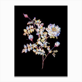 Stained Glass White Burnet Roses Mosaic Botanical Illustration on Black Canvas Print