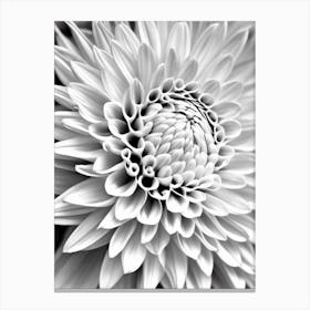 Dahlia B&W Pencil 1 Flower Canvas Print