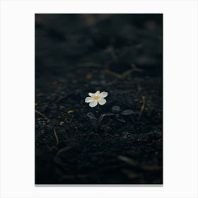 Flower In The Dark 101 Canvas Print