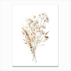 Dry Flowers Canvas Print