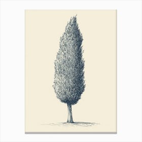 Cypress Tree Minimalistic Drawing 1 Canvas Print